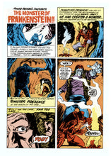 Load image into Gallery viewer, The Monster of Frankenstein