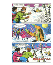 Load image into Gallery viewer, Little Women