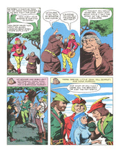 Load image into Gallery viewer, Robin Hood