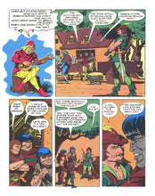 Load image into Gallery viewer, Robin Hood