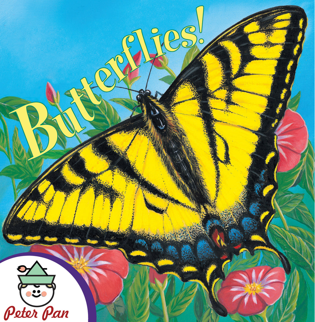 Know It All—Butterflies
