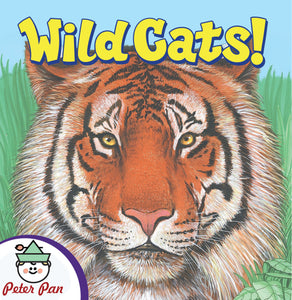 Know It All—Wild Cats